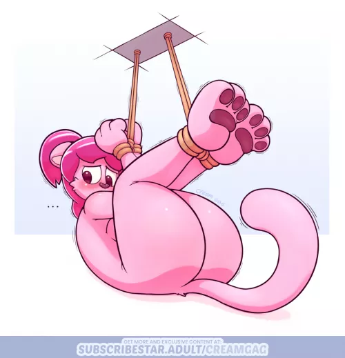 Hooked to the ceiling