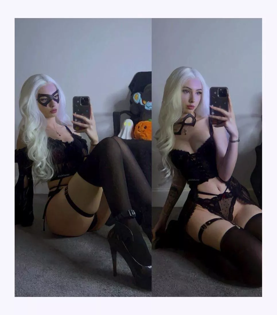 Jet-black feline 🐾