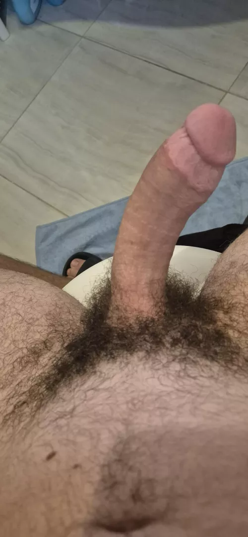 Just my morning wood