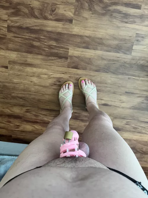 Locktober fest I need to find some bubblegum nail polish so my piggies match my cage 