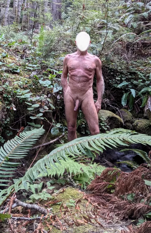 Naked in the redwoods 