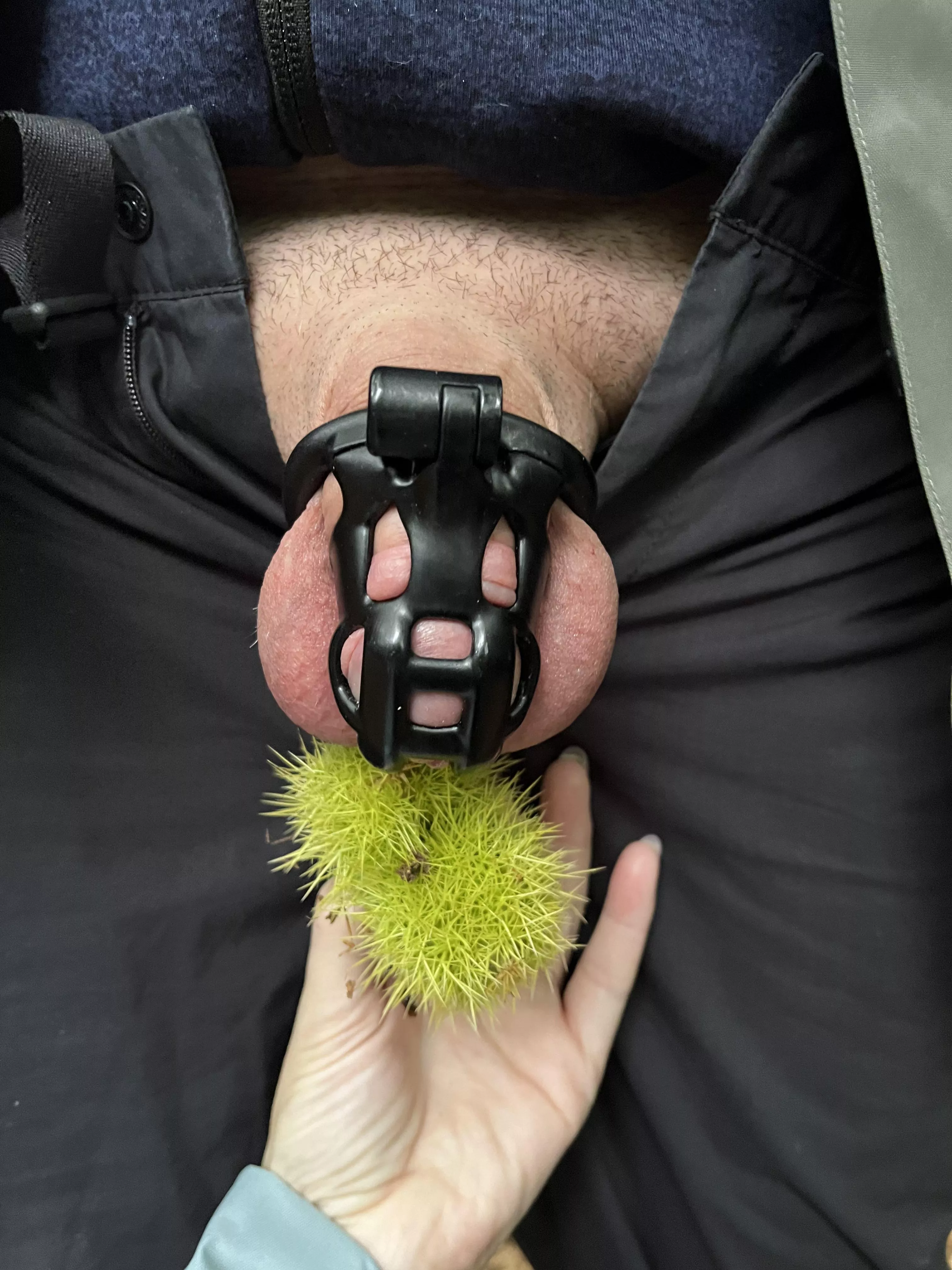 Playing with his conkers on our woodland walk 