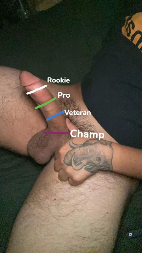 Pussy, Bussy or Throat