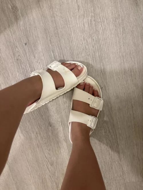 Should I go back to French?