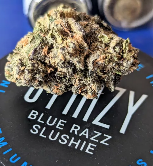 Stiiizy: Blue Razz Slushie