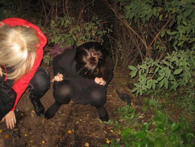 Together in the bushes