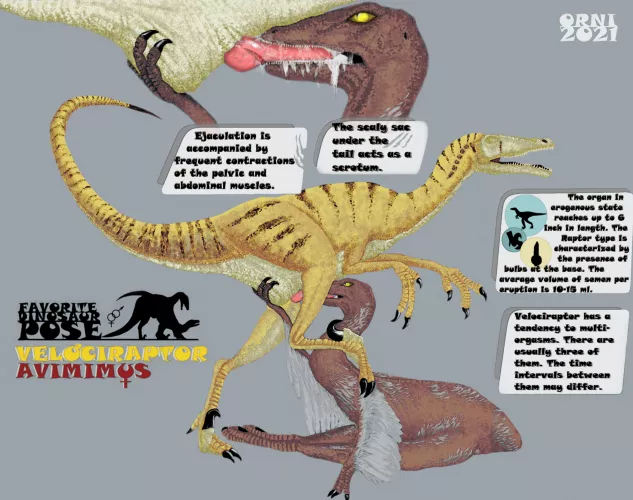 Velociraptor & Avimimus (Orni) [Favorite Dinosaur Pose]