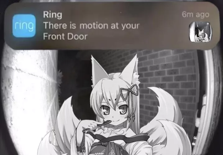 What would you do in this situation?