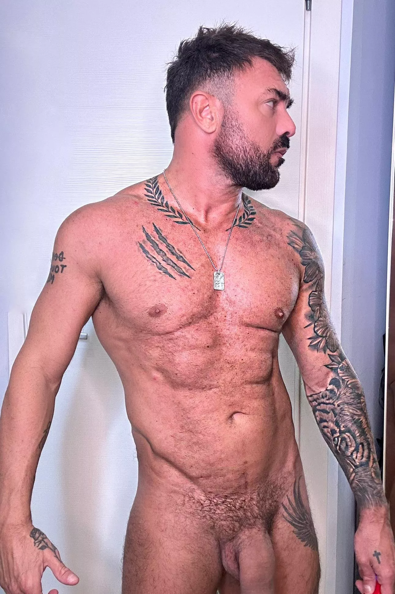 Which you prefer, big cock or big muscles?