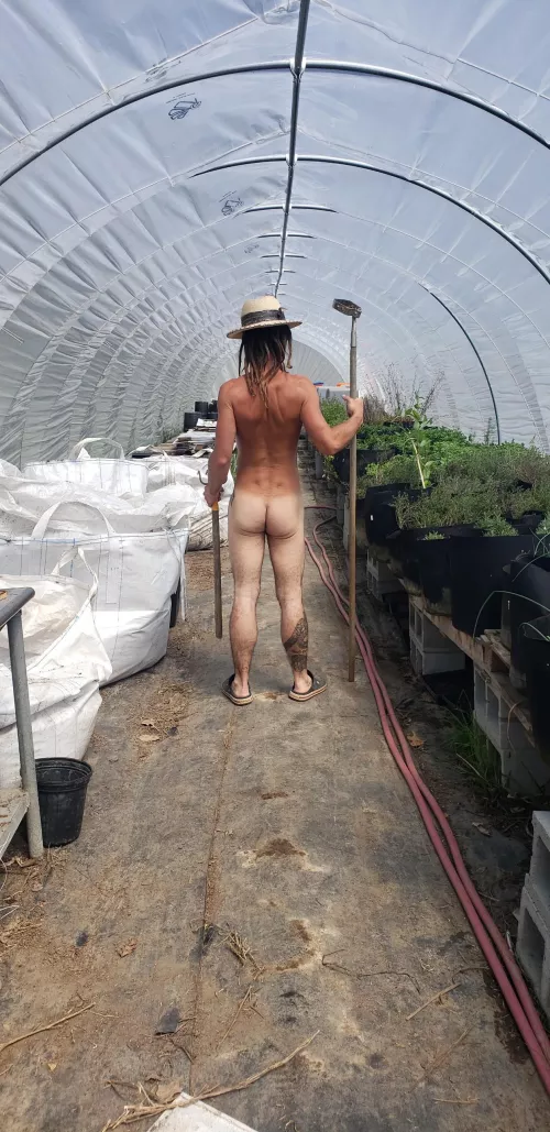 Working in the hoop house