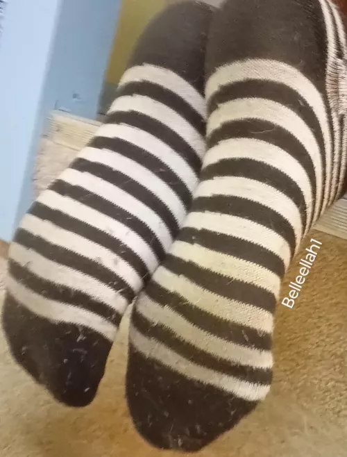 10 day worn sweaty, smelly work socks for sale! Message me to get them shipped today 