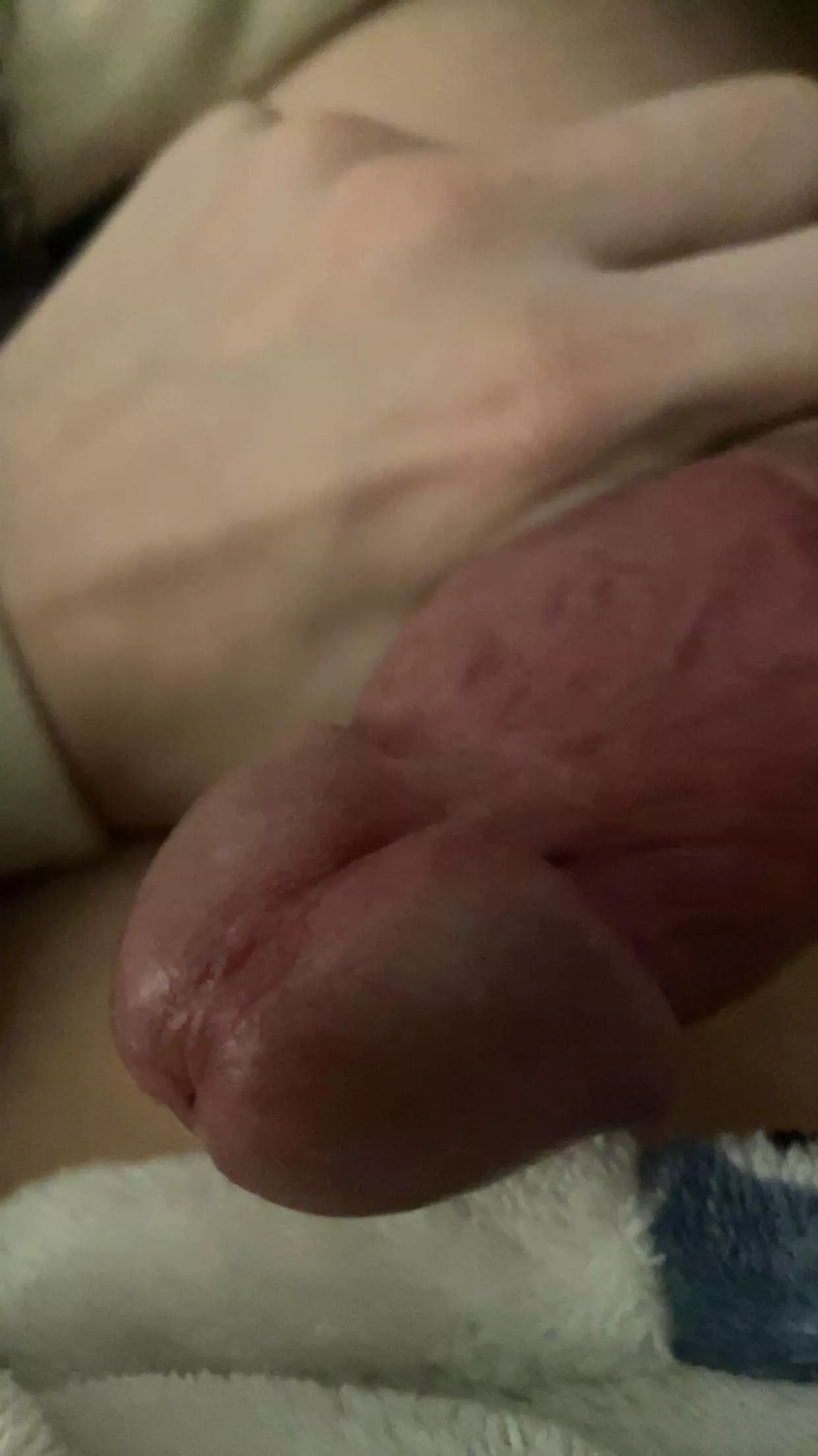 19m - who needs a frenulum anyway