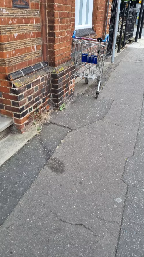 A lost trolley out in the wild far from home
