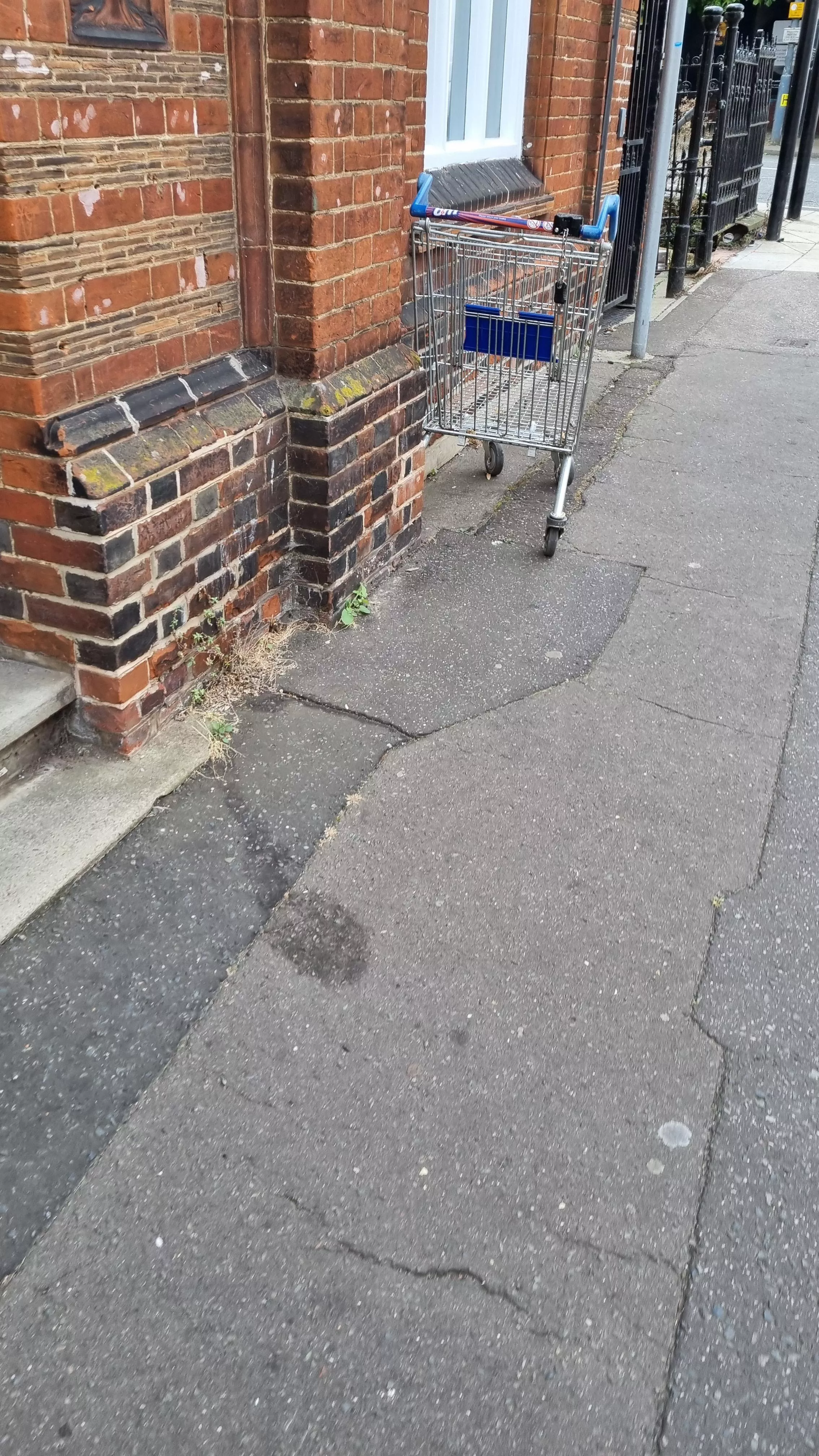 A lost trolley out in the wild far from home