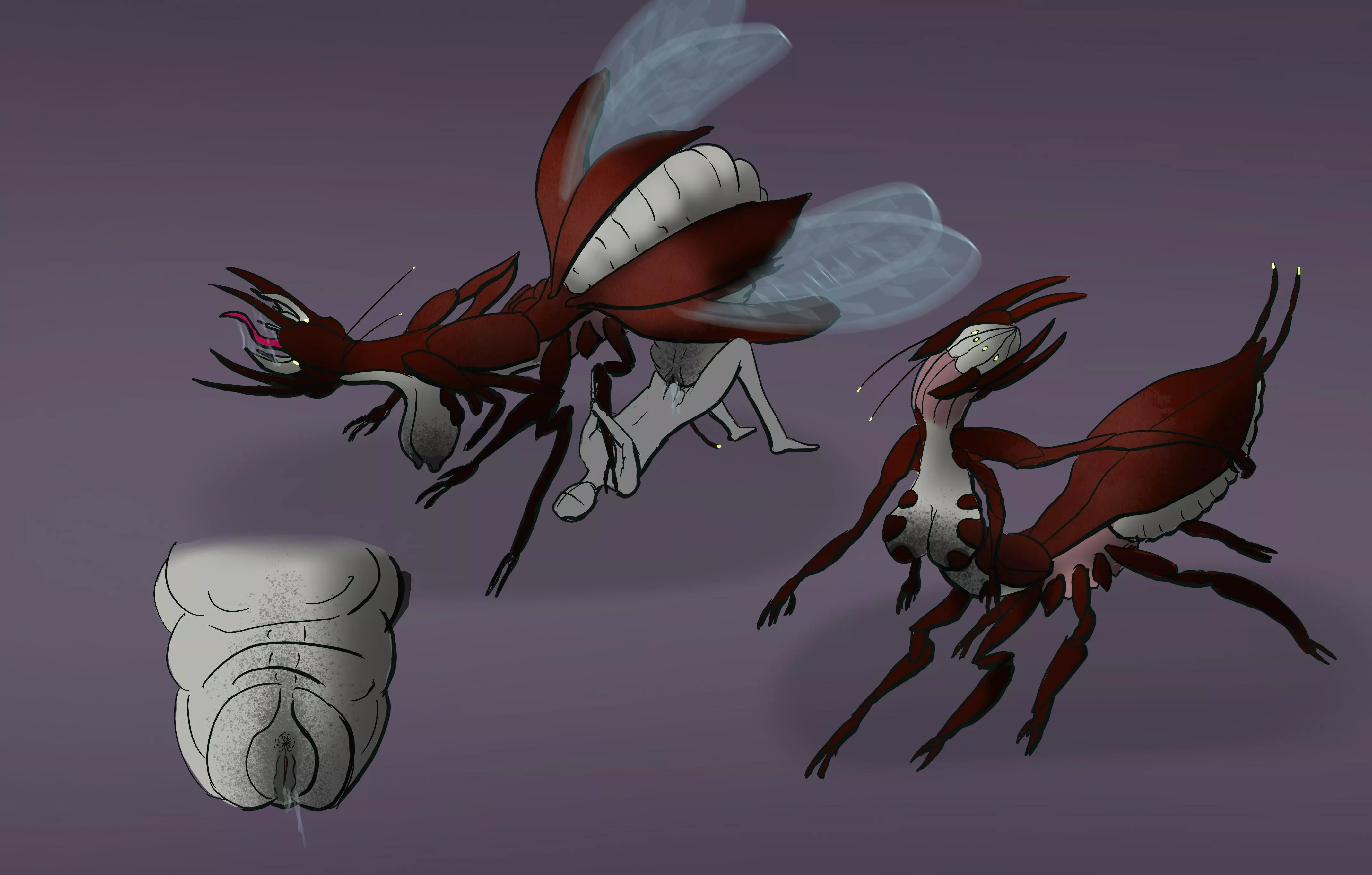 Aerial Warrior [FM] (art by me)