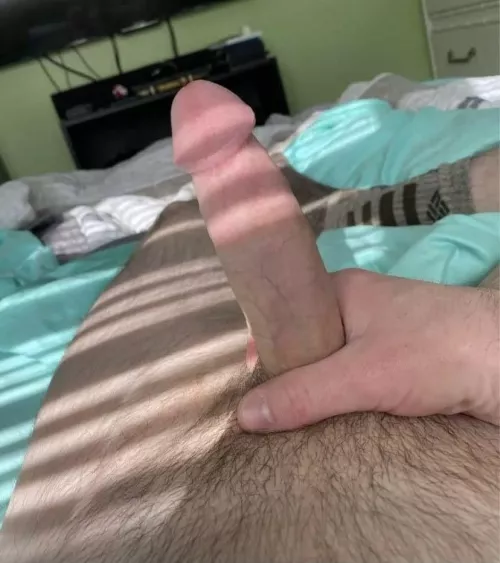 Any gals want to have some NSA fun? (Oc) 