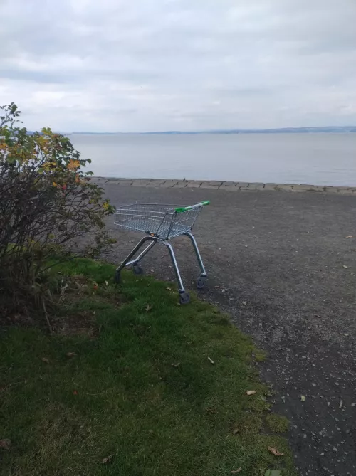 Bitch waiting for shore play