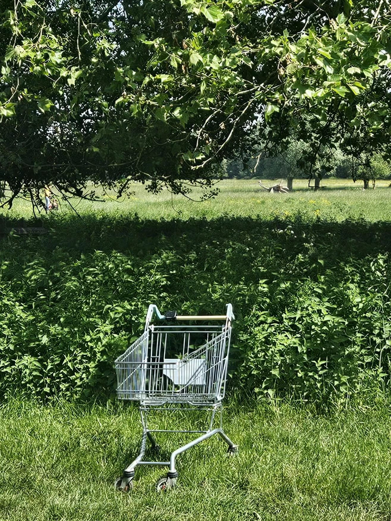Busty babe bathing in nature