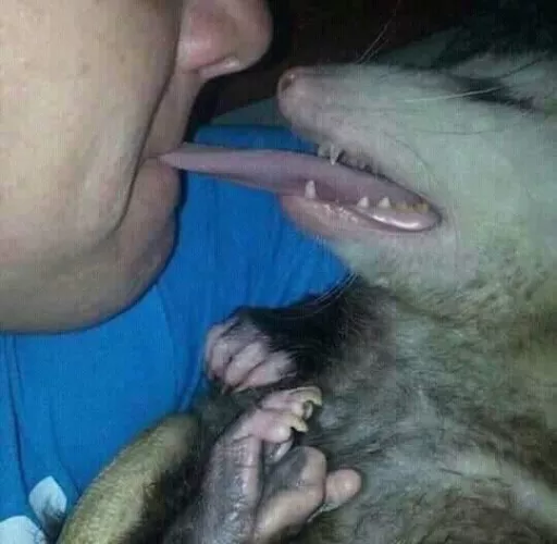 Cursed_lickylick