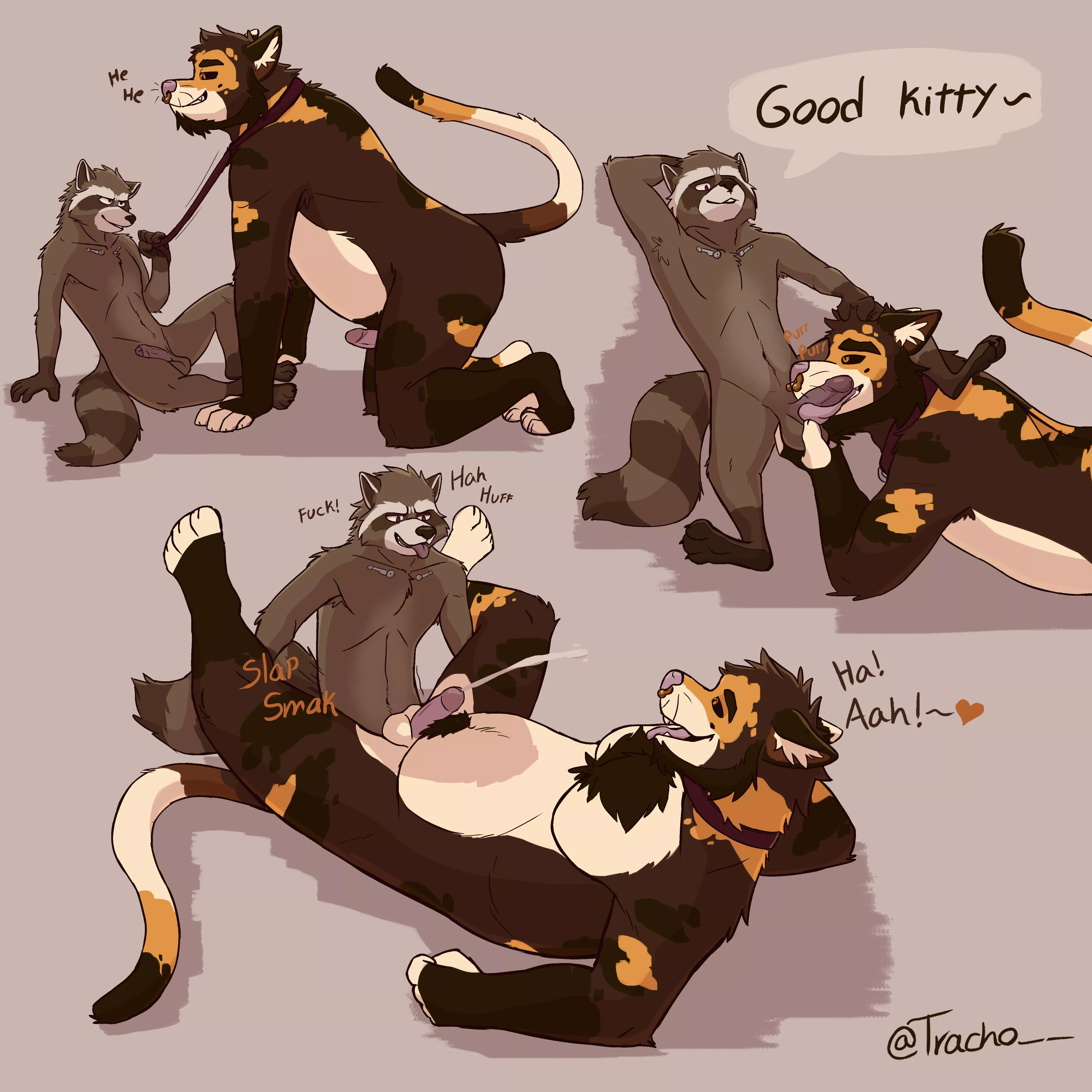 Good kitty~ (tracho__) [MM]