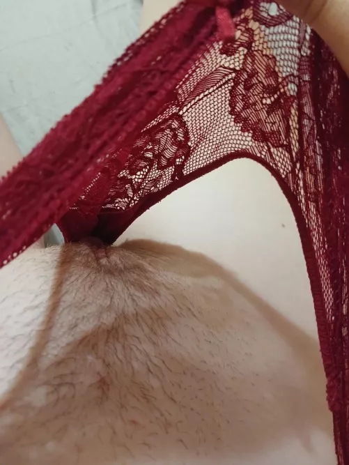 How about you take a look in my panties today?