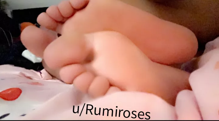 Is these are cute enough for you?