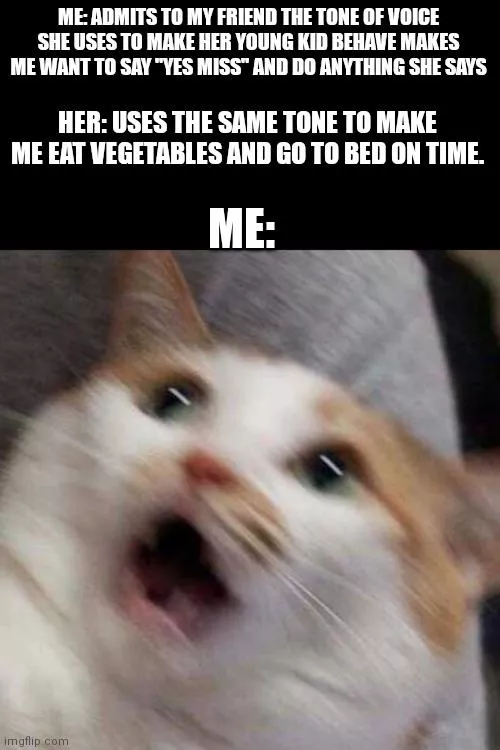 Just friends but still makes myy brain annoyingly happy lol