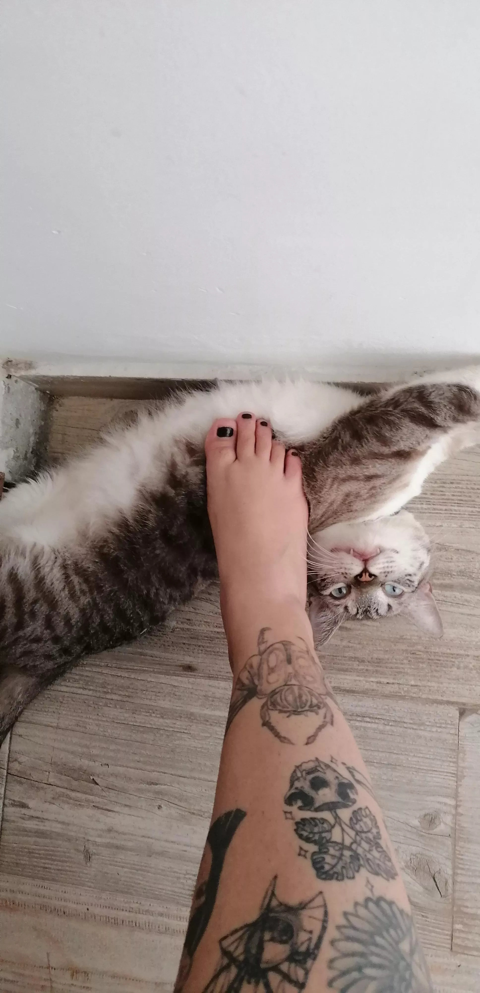 My cat loves it when I pet him with my feet, how about that?