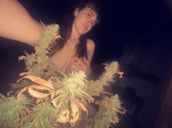 my night on the terrace