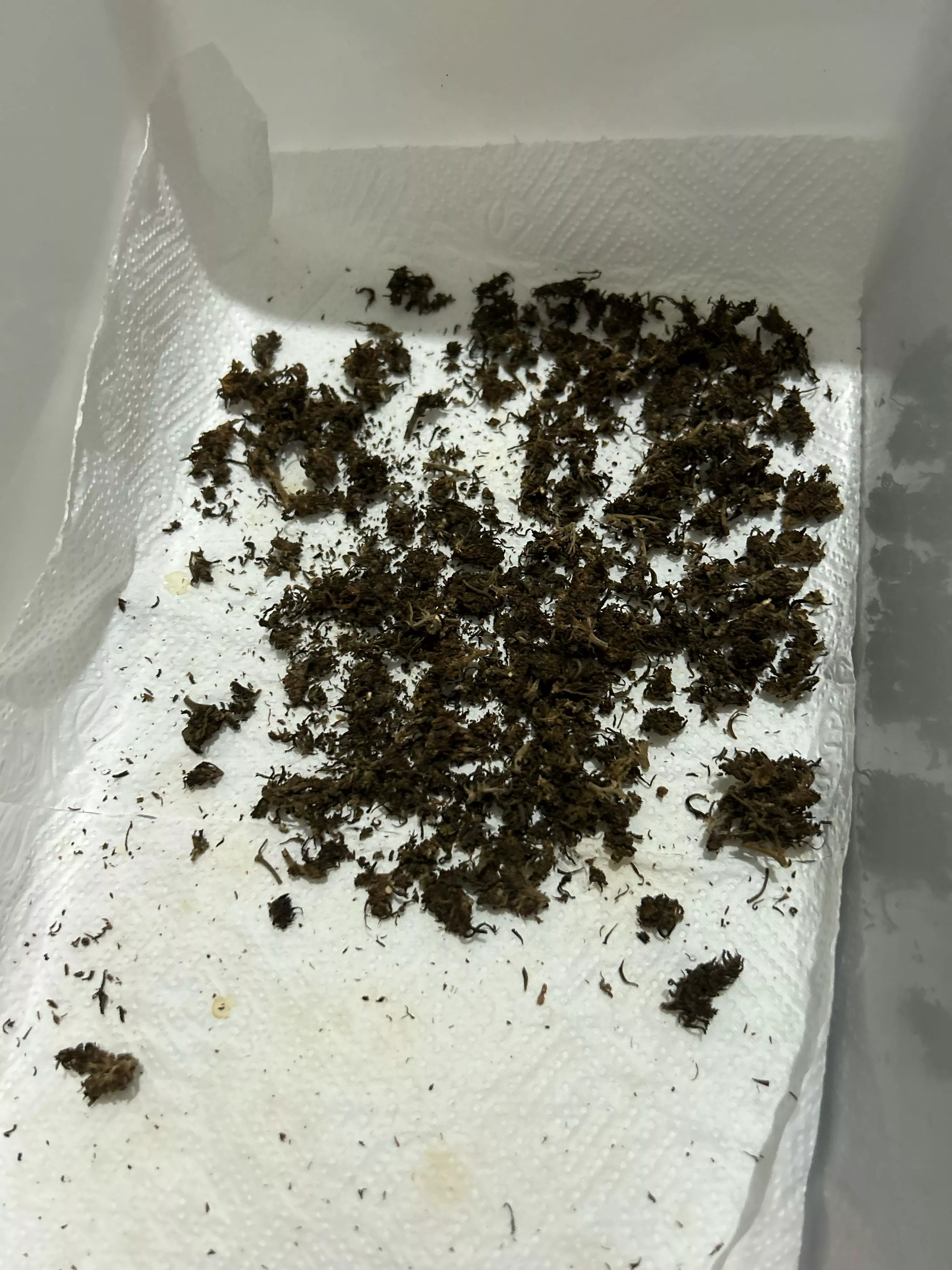 Realmente algumas nem lavando 