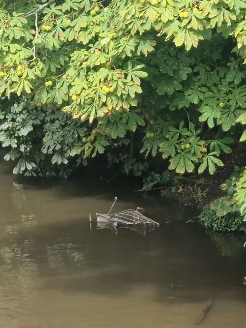 Soaking wet slut surrounded by bush