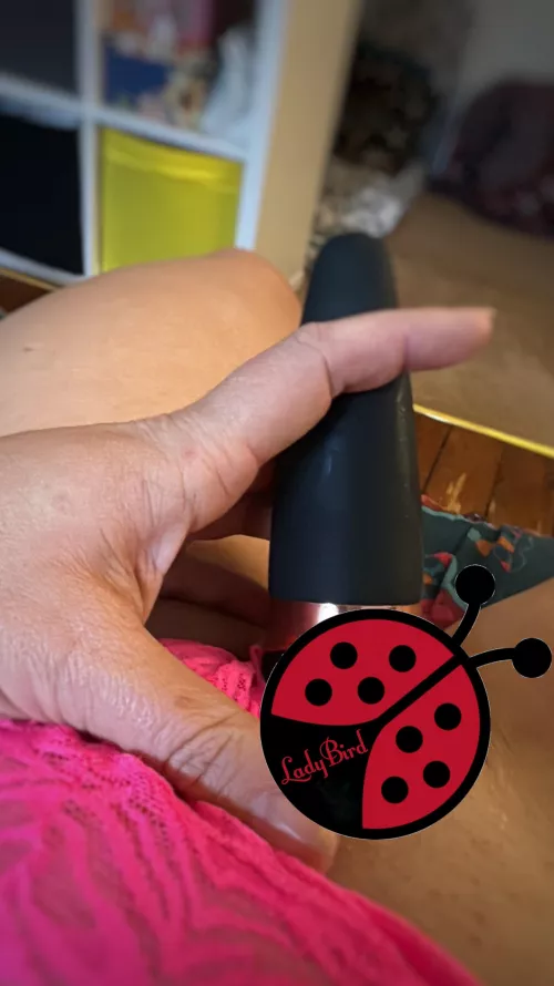 These are sold, who wants the next ones? [Selling]