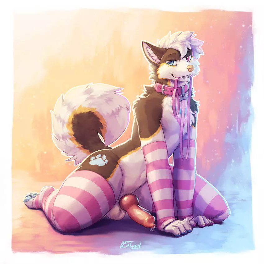 This Husky is ready for some walkies... are you?~ (belvor) [M]