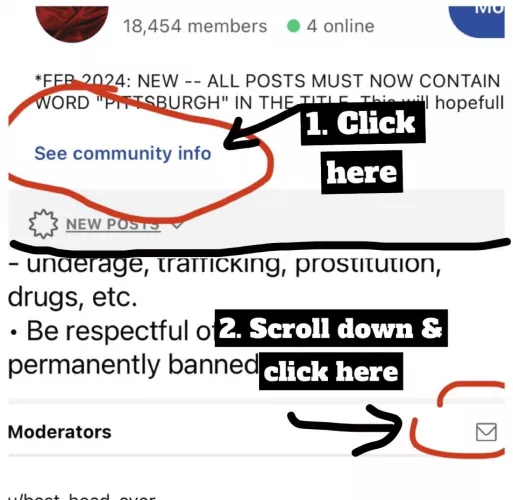 We’ve cranked up the spam filters to maximum & it seems to be helping 🤞🏻 If your posts are getting caught & you’re legit (i.e., IN PITTSBURGH & **NOT** SELLING CONTENT), you can use modmail to message us — see image below. Also, k