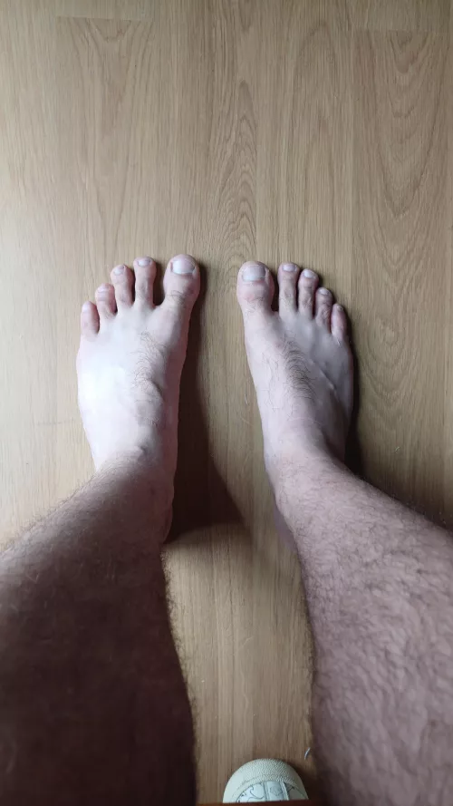 What does it look like?