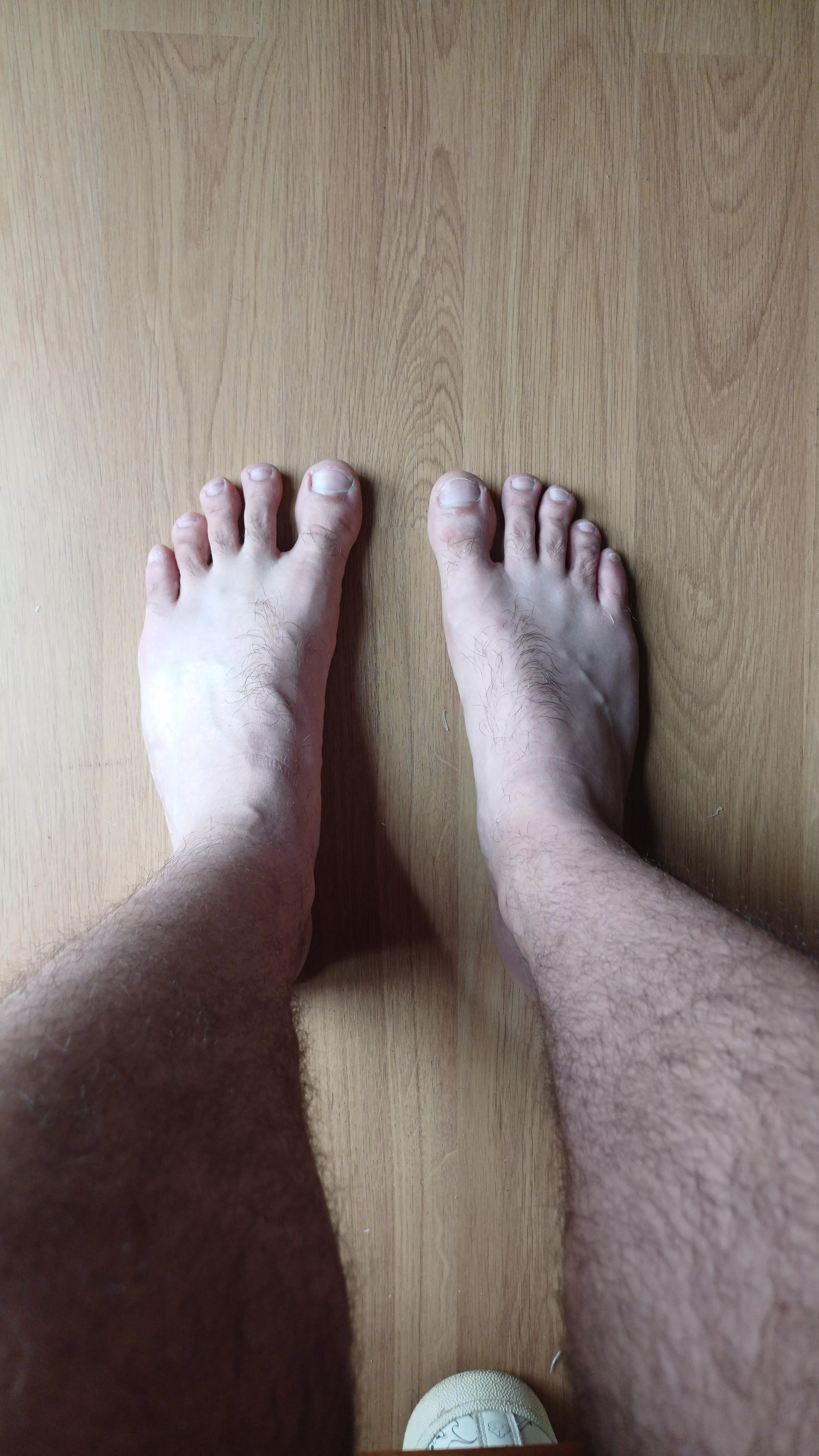 What does it look like?