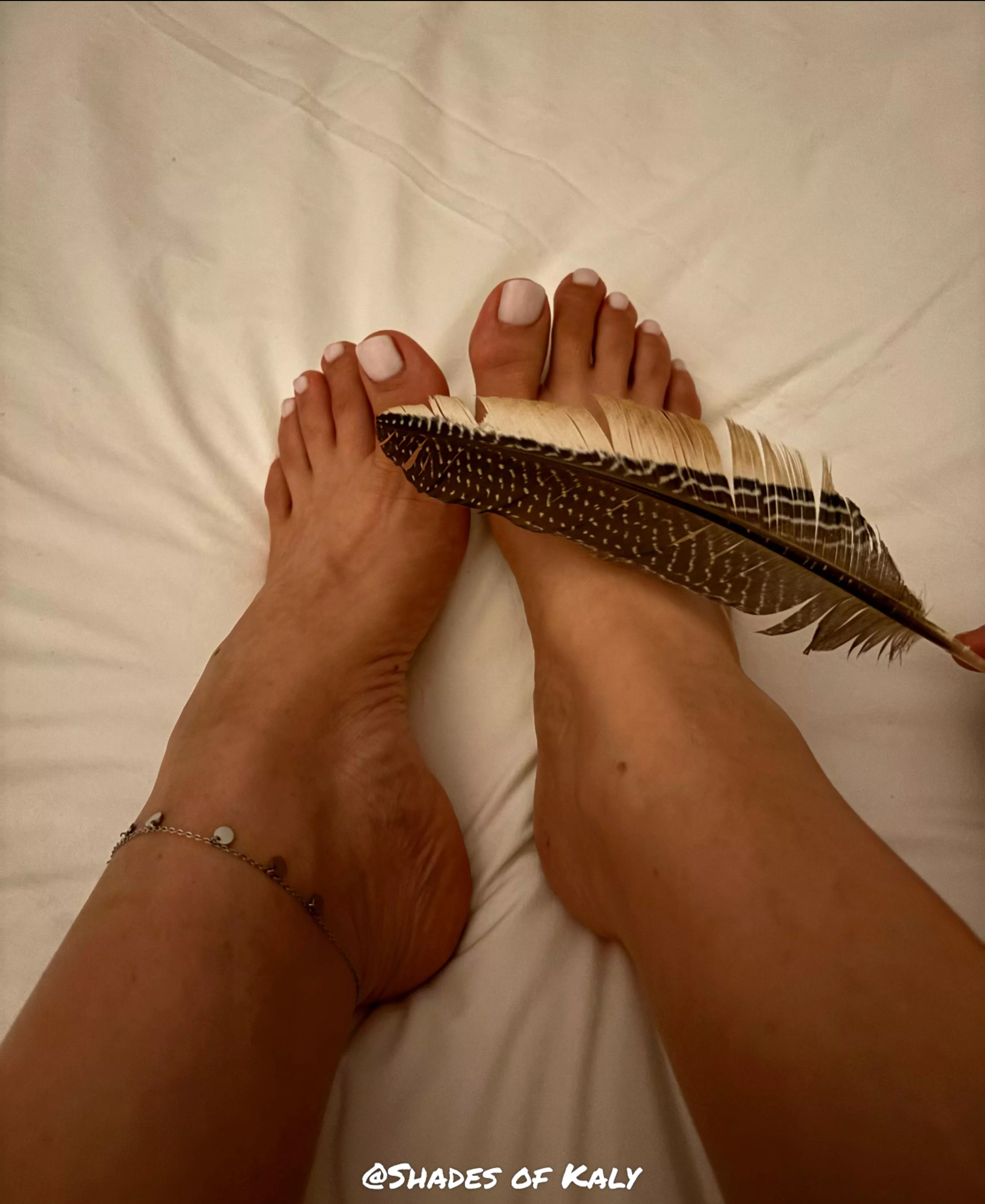 What if I told you I was ticklish? 🪶😉