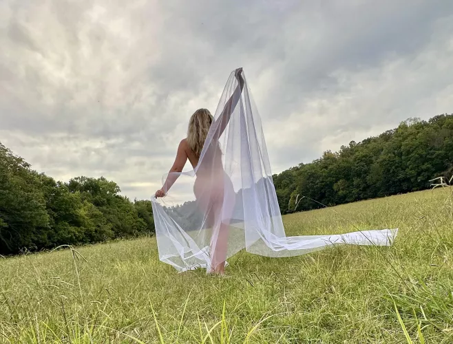 Where the wild things are…