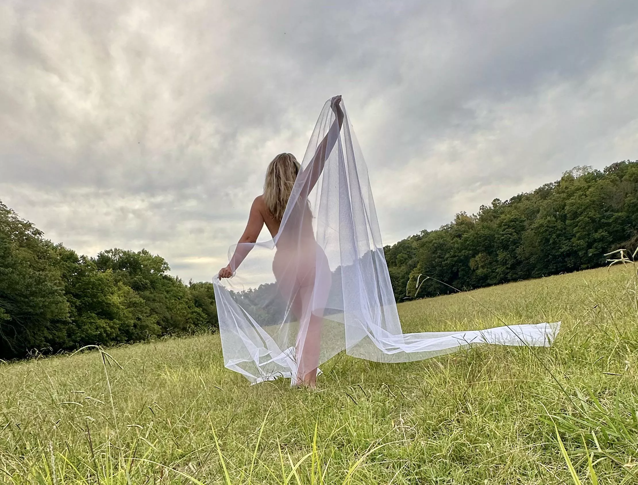 Where the wild things are…