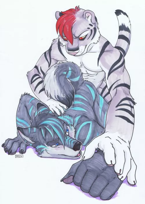 Wolf and tiger (Iggi)