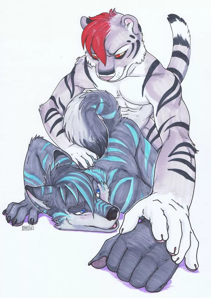 Wolf and tiger (Iggi)