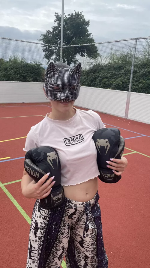 your kitty wants your training