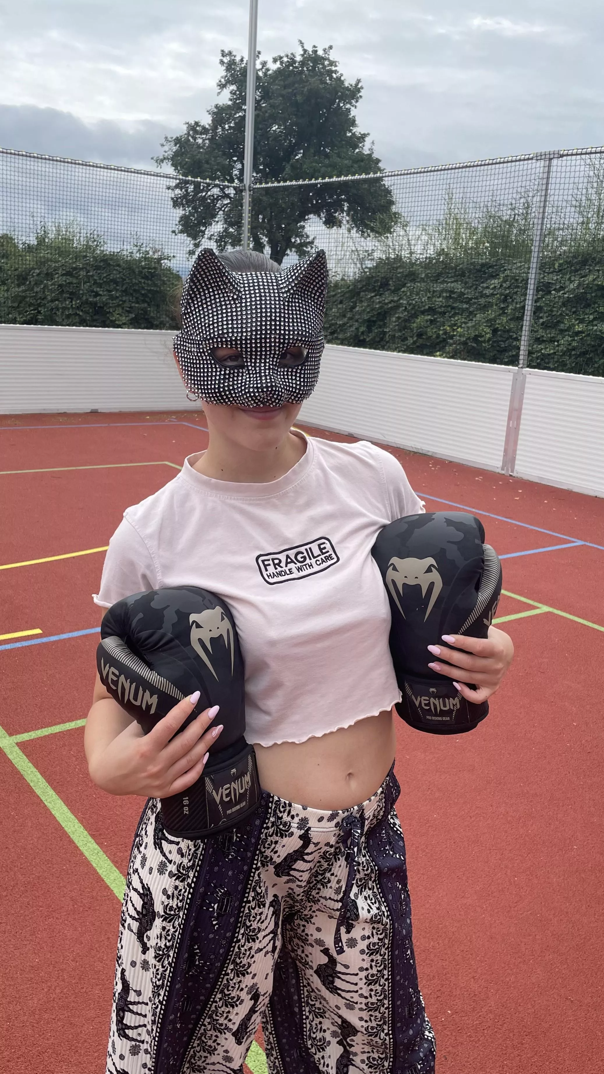 your kitty wants your training