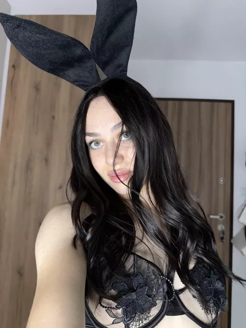 your rabbit wants to have some fun