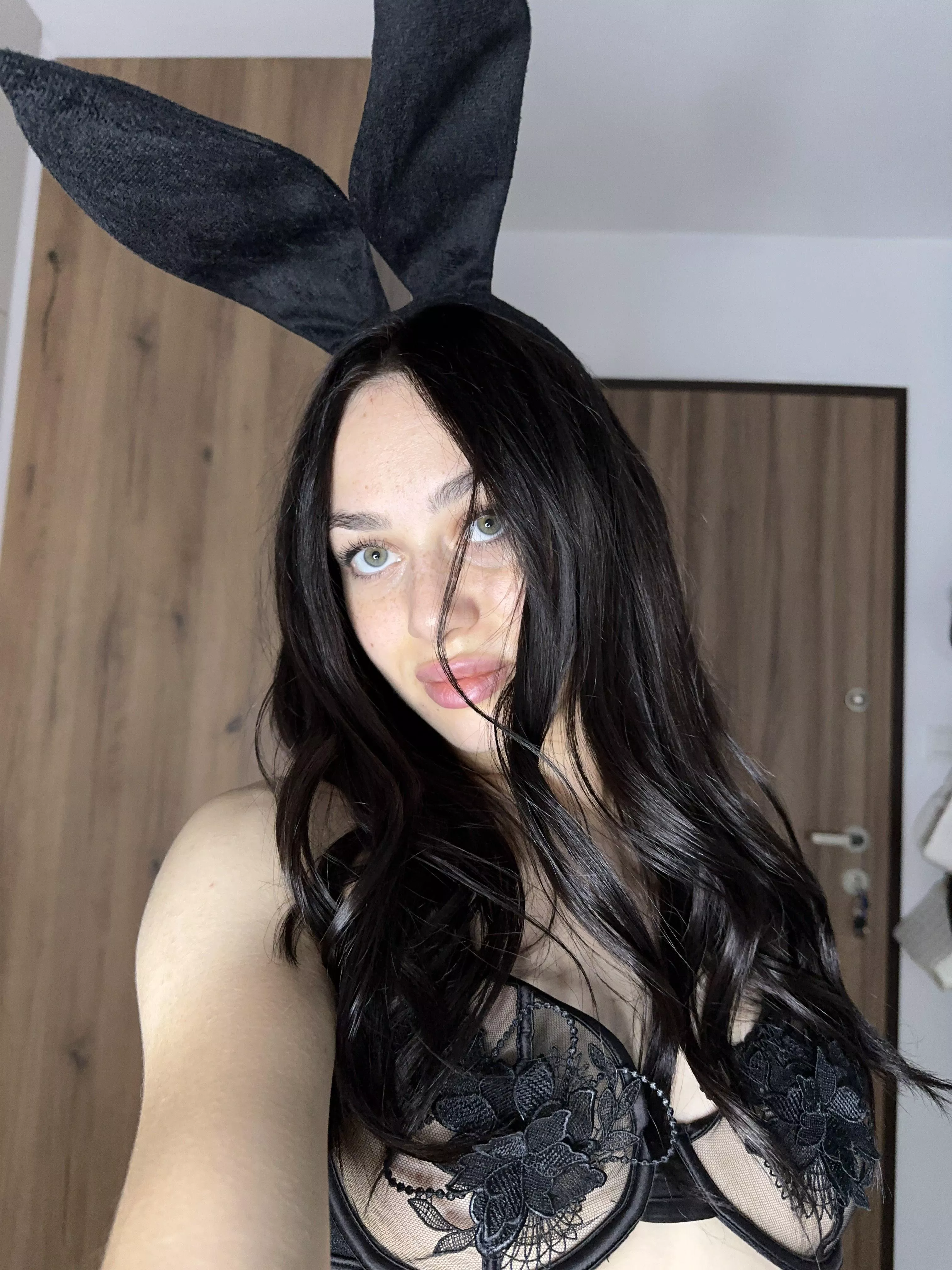 your rabbit wants to have some fun
