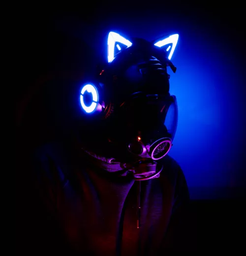 0730 :: Enjoying the reassuring humming of the Hive.