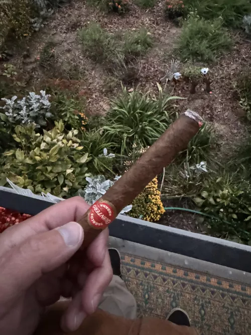 2007 Quintero Breva — rough and ready Cuban. Quite rough.