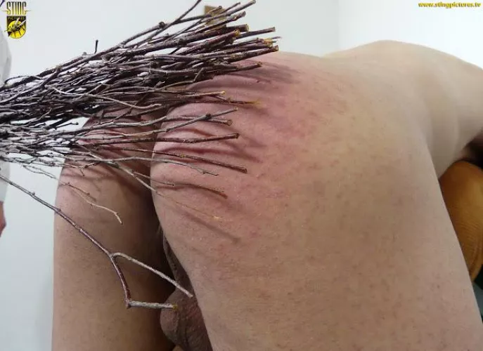 Anyone given/gotten the birch?