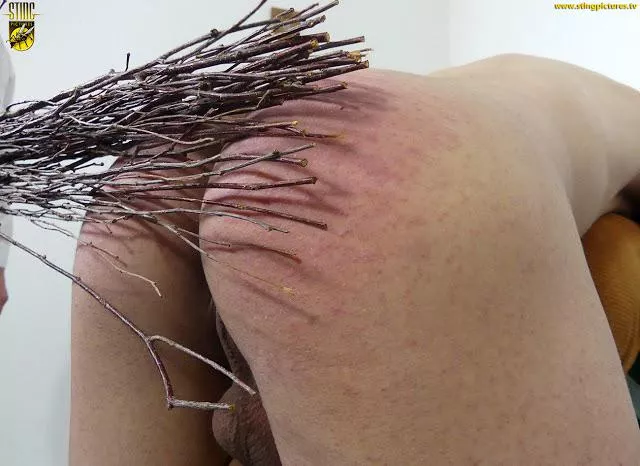 Anyone given/gotten the birch?