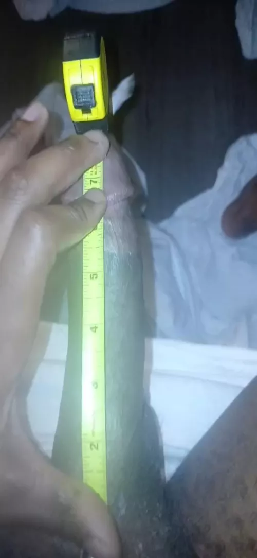 I still feel small . Girth 5.25 - 5.5